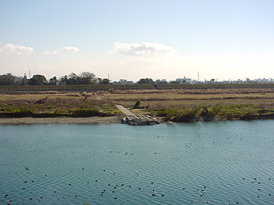 左岸の乗り場