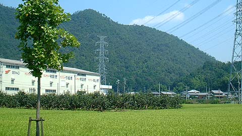 岐阜市城田寺