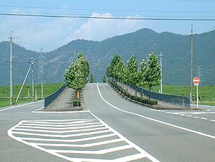 鳥羽川