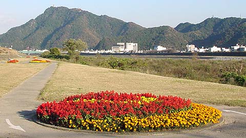 長良川右岸堤防