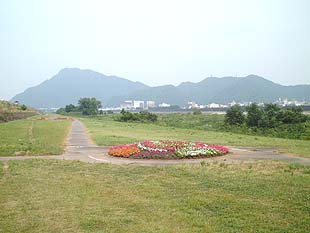 花壇(6月)